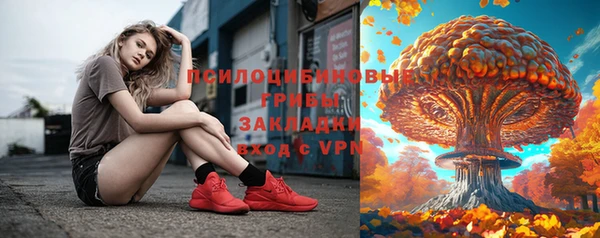 спиды Мегион