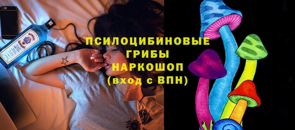 ешки Медвежьегорск
